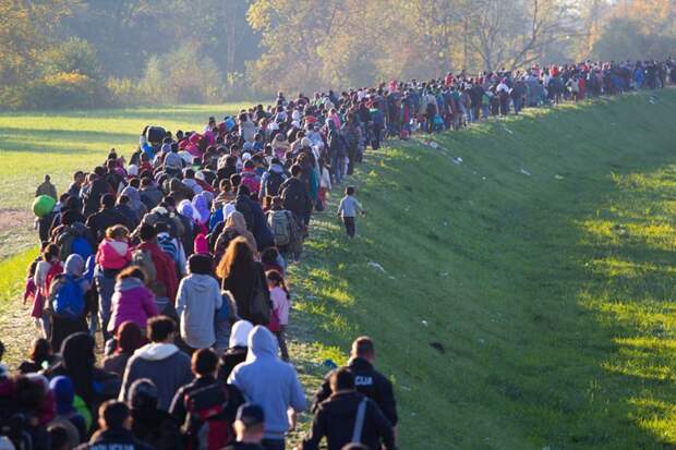 Польша отказалась принимать беженцев из мусульманских стран