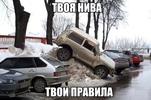1452505288_fotomemy-13