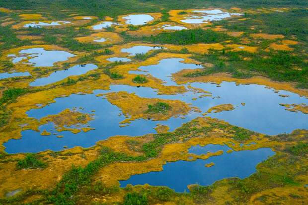 Большое Васюганское болото - природный феномен, не имеющий аналогов в мире
