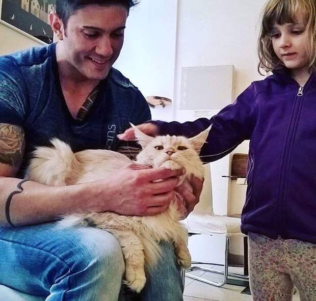 Без кота и жизнь не та