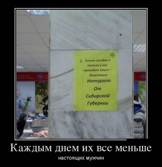 1478073725_24