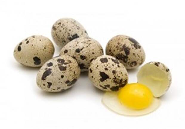 Перепелиные яйца: полезные свойства, состав
