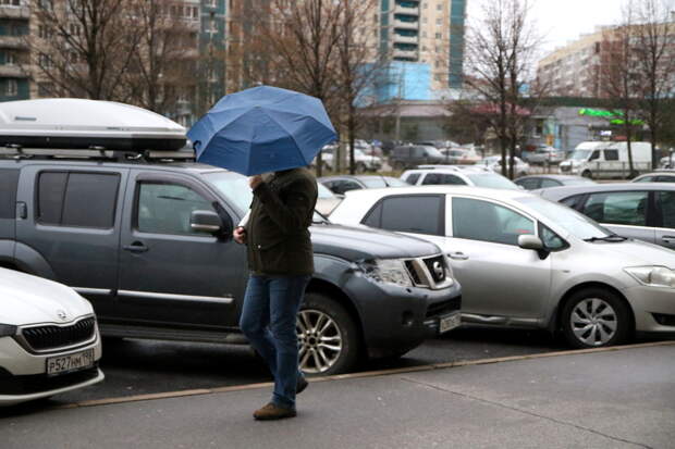 Синоптики прогнозируют в Новосибирске дожди с 3 апреля