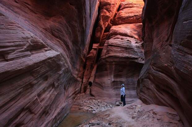 Скальные башни в каньоне Бакскин Галч, Юта, США (Buckskin Gulch, Utah, USA)