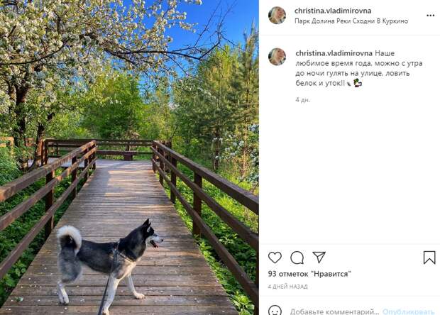 Фото дня: в Куркине началась фотооохота