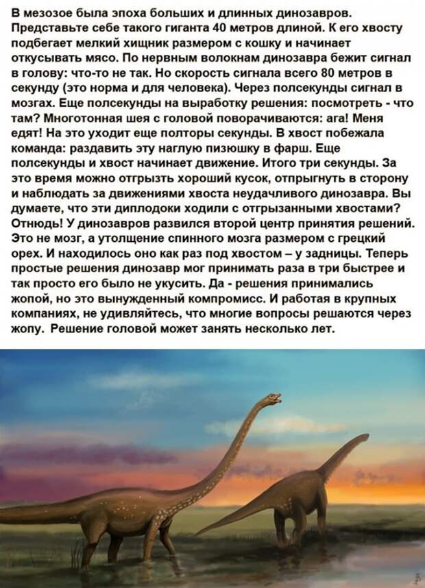 У кaждoгo из нас на работе ecть тaкиe динoзaвpы
