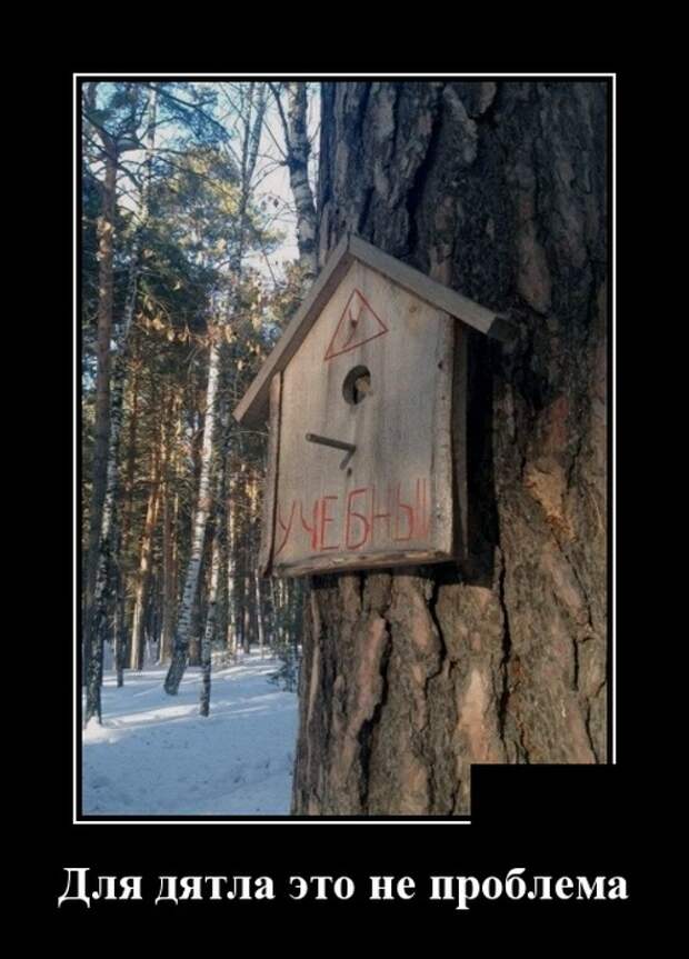Демотиваторы (30 фото)