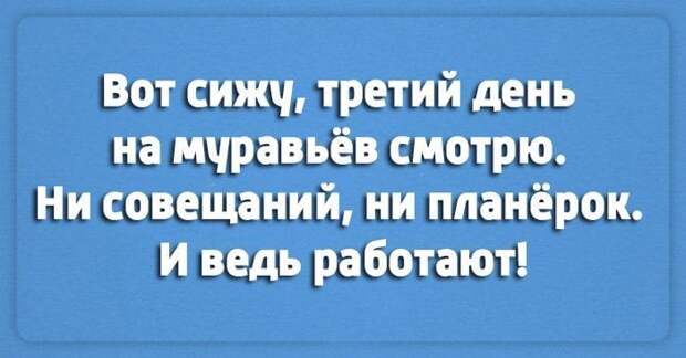 Начните воскресное утро с порции чёткого юмора