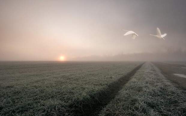 532864_10151457734214775_972781151_n