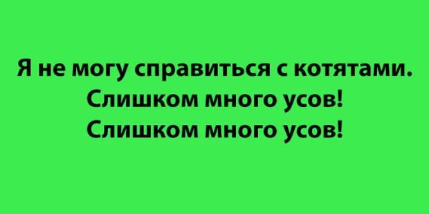 L20 эпичных высказываний которые люди неосознанно сказали во сне