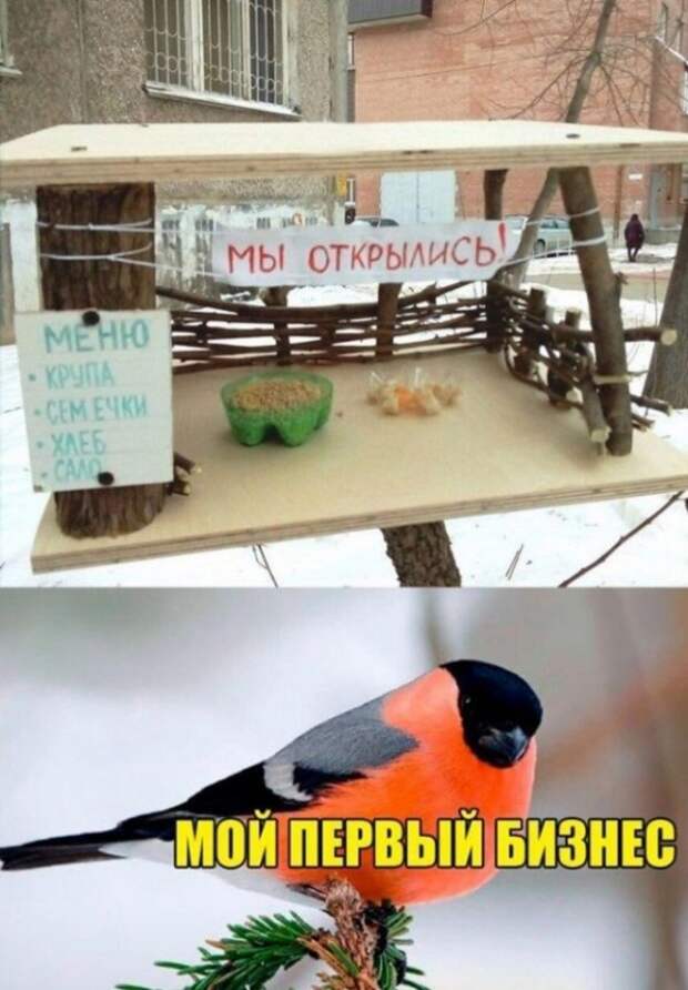 Так себе картинки