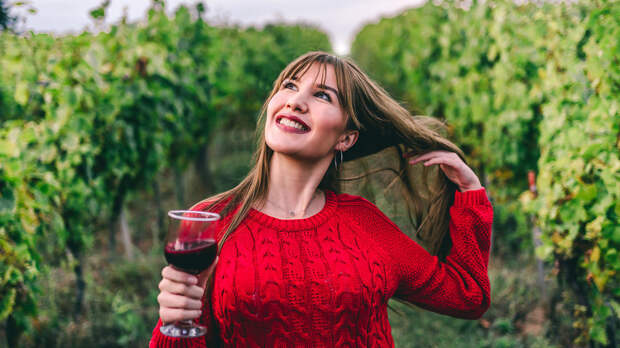 5 российских сортов винограда, из которых делают лучшие вина в стране