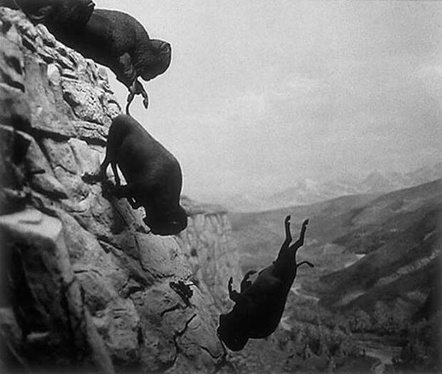 Странная фотография из прошлого
