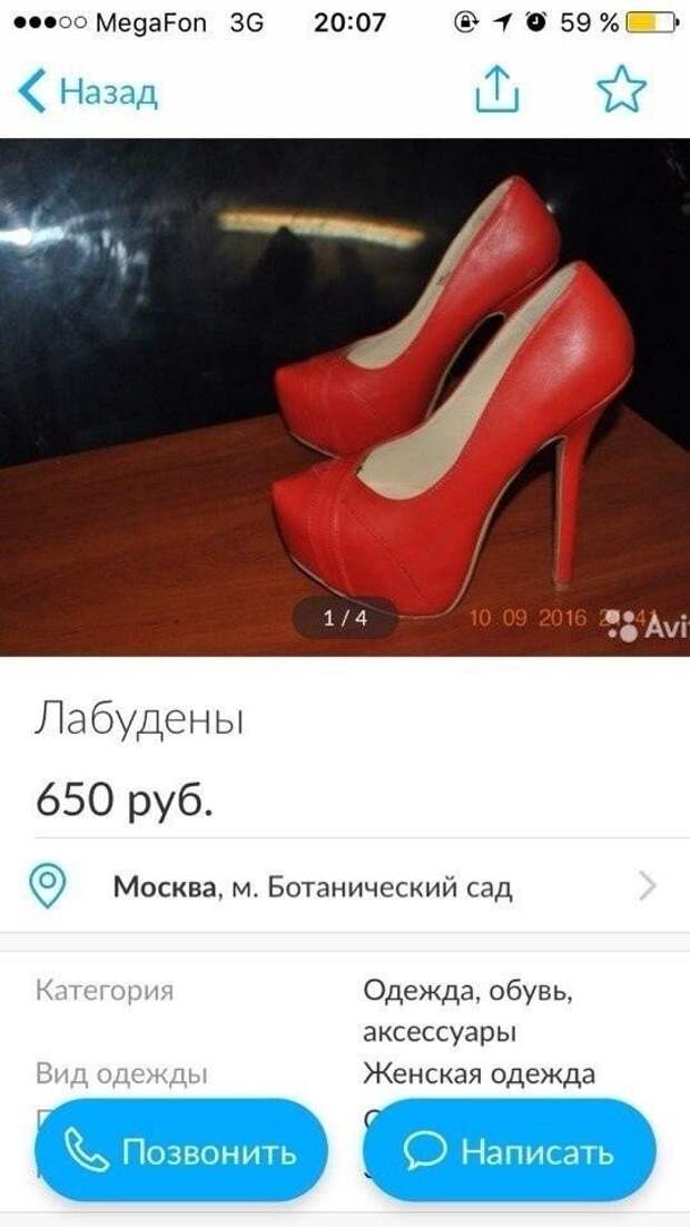 Нелепые и смешные ошибки в Интернете и в жизни