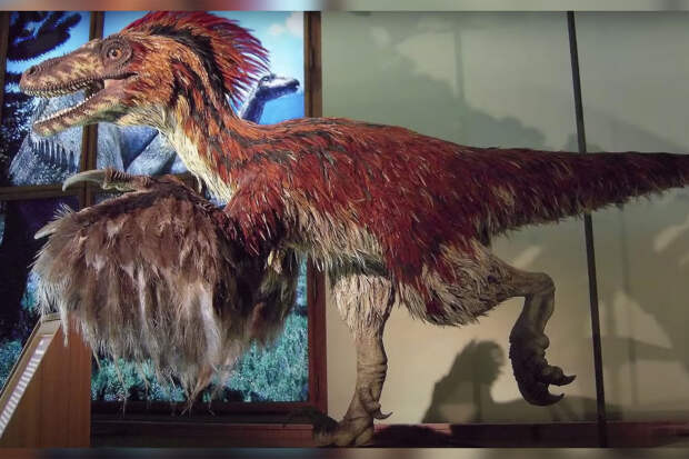 CurBio: некоторые динозавры юрской эры научились регулировать температуру тела