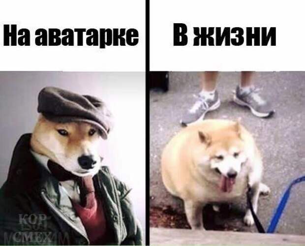 Новые прикольные фотомемы (30 шт)