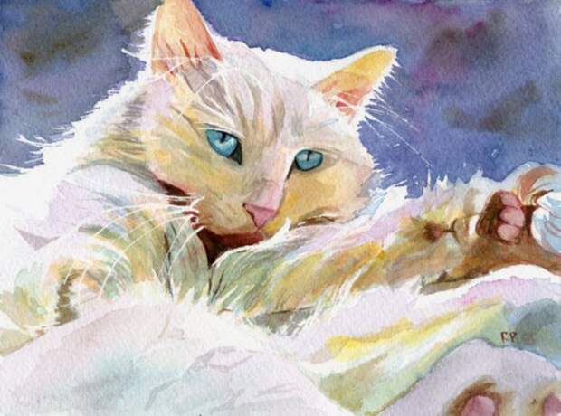 Персидская кошка. Автор: Rachel Parker.