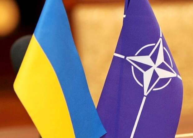 Косачев: Фантазиями о НАТО Порошенко интересничает перед Западом