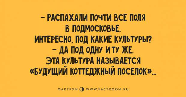 Свежая десятка клёвых анекдотов, достойная вашего смеха Свежая десятка клёвых анекдотов, достойная вашего смеха