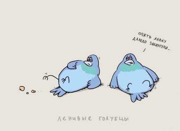 Когда очень лень (27 фото)