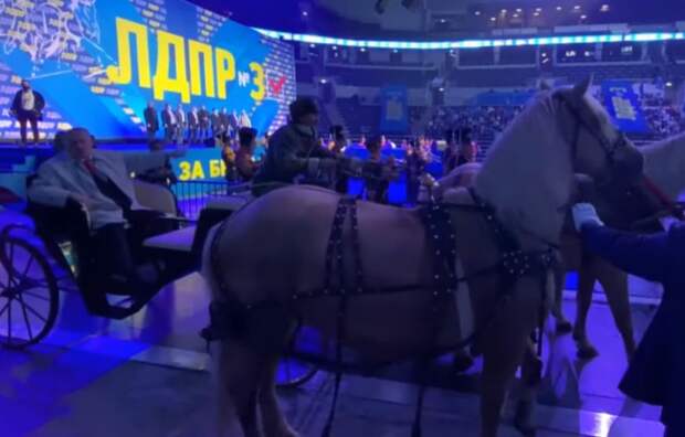 Жириновский приехал на предвыборный слет ЛДПР на тройке лошадей