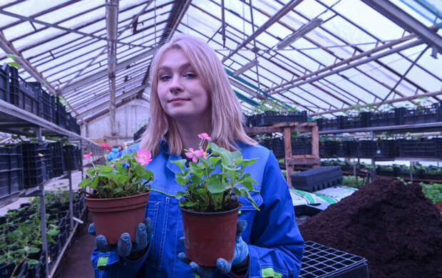 Виолы любят музыку и добрые слова