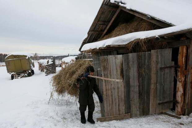 Все ушли, а он остался. 17 фото последнего жителя деревушки со 150-летней историей дедушка, деревня, люди