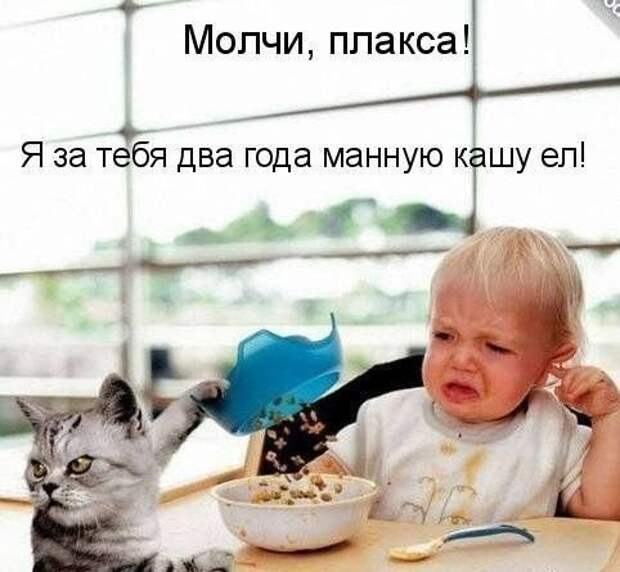 Смешные картинки с надписями для веселья (12 фото) Смешные картинки с надписями для веселья (12 фото)