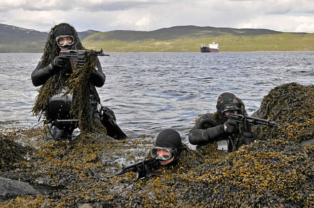 Чтобы выжить в эре политических гопников, России необходимо становиться сильнее – Коц