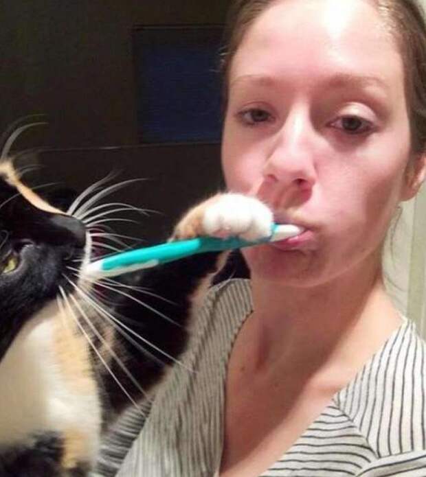 С этими котейками точно не заскучаешь! С этими котейками точно не заскучаешь!