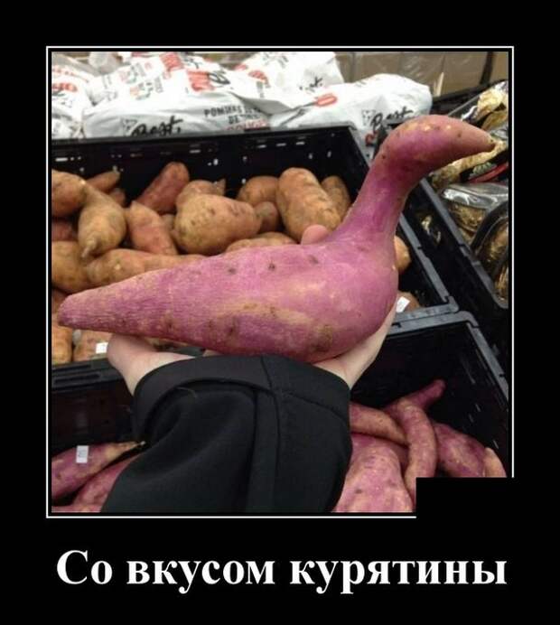 Демотиваторы (30 фото)