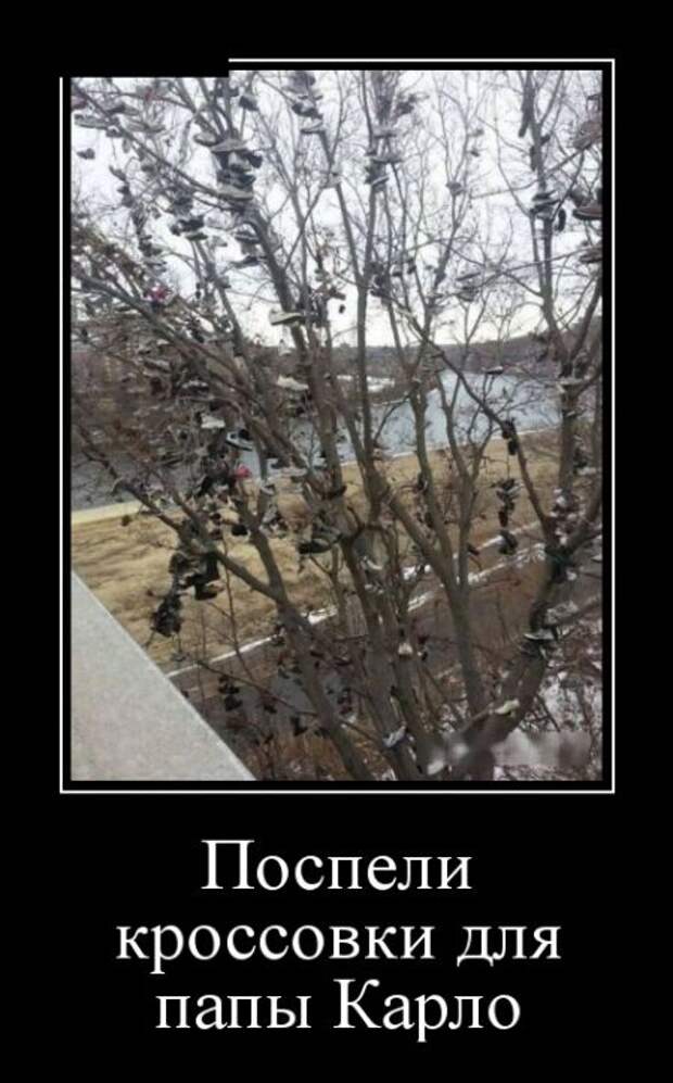 Демотиваторы (30 фото)