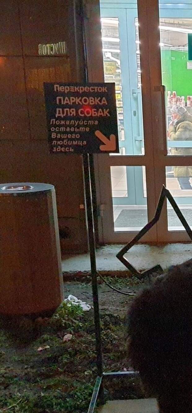 Искусство парковки: не каждому по зубам Искусство парковки: не каждому по зубам