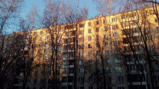 Недвижимость/фото: соцсети