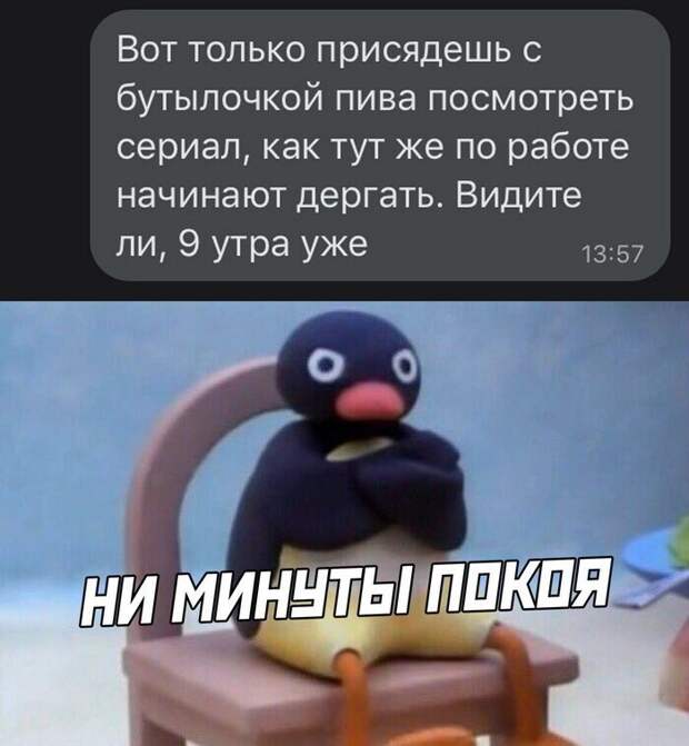 Смешные и поучительные скриншоты с просторов Рунета Смешные и поучительные скриншоты с просторов Рунета