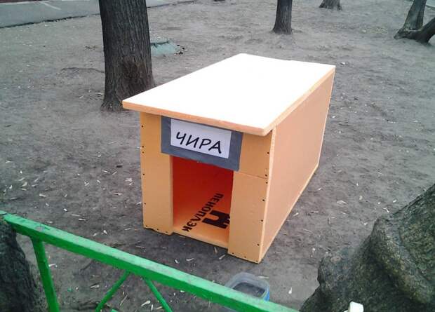 Эти люди определенно не хотят жить в квратире