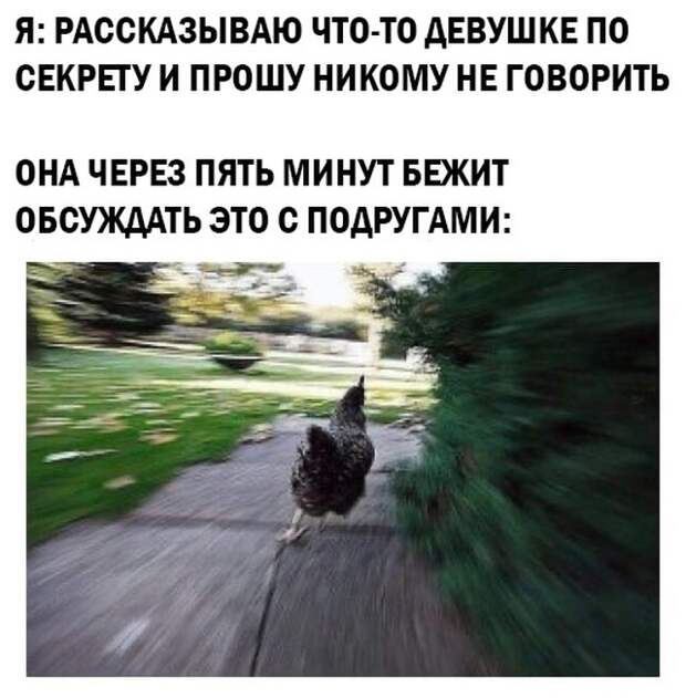 Смешные картинки 26 мая 2021 года