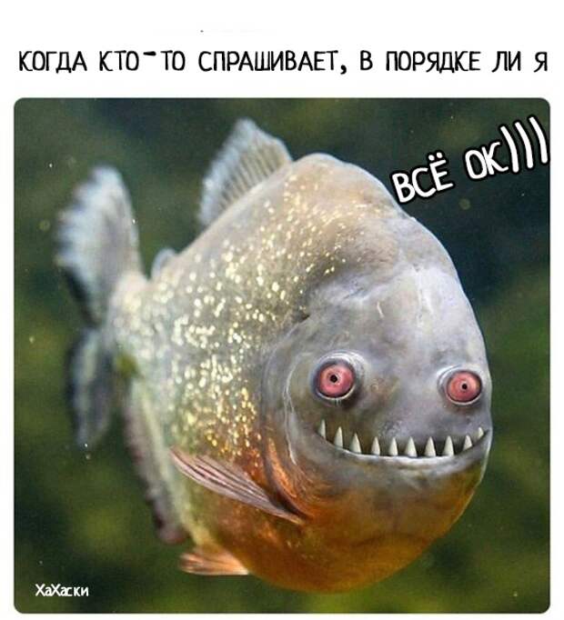 Юмор из интернета 254
