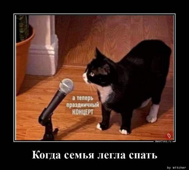 1599721016_demy-1.jpg