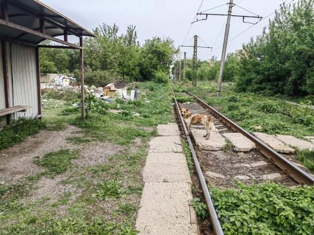 Проезд в общественном транспорте — 10, в маршрутке — 30 рублей Фото: Юлия АНДРИЕНКО