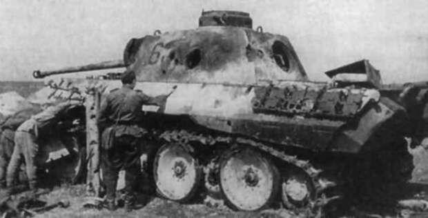 Хищная кошка Вермахта Хищная кошка Вермахта война, история, факты