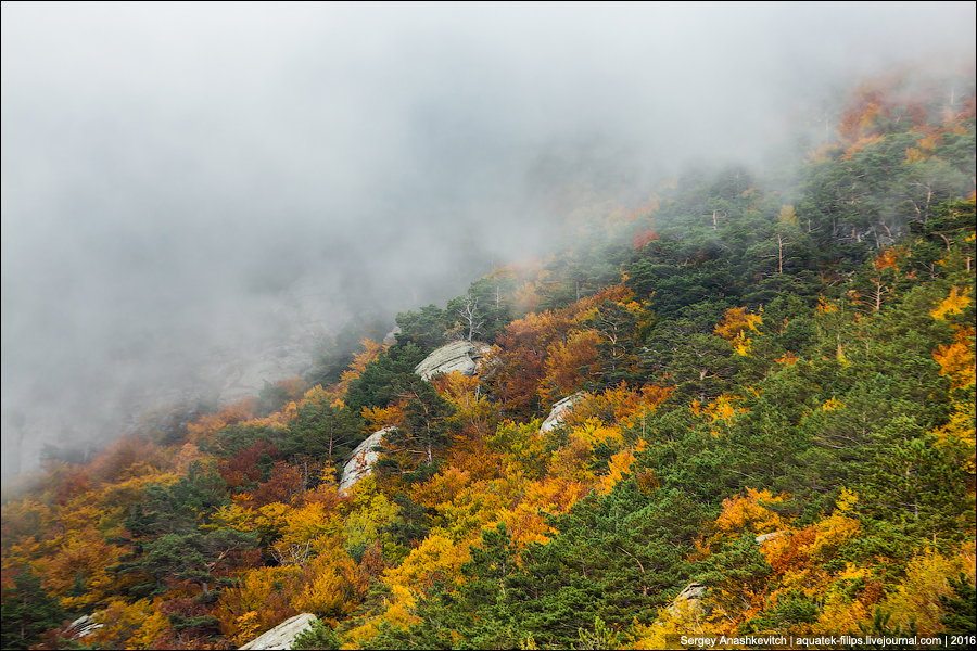 Осень в Крымских горах