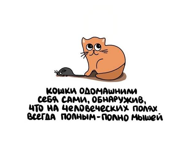 Интересные факты на все случаи жизни