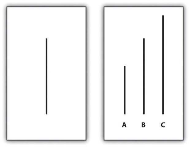 experiment-1-1.jpg