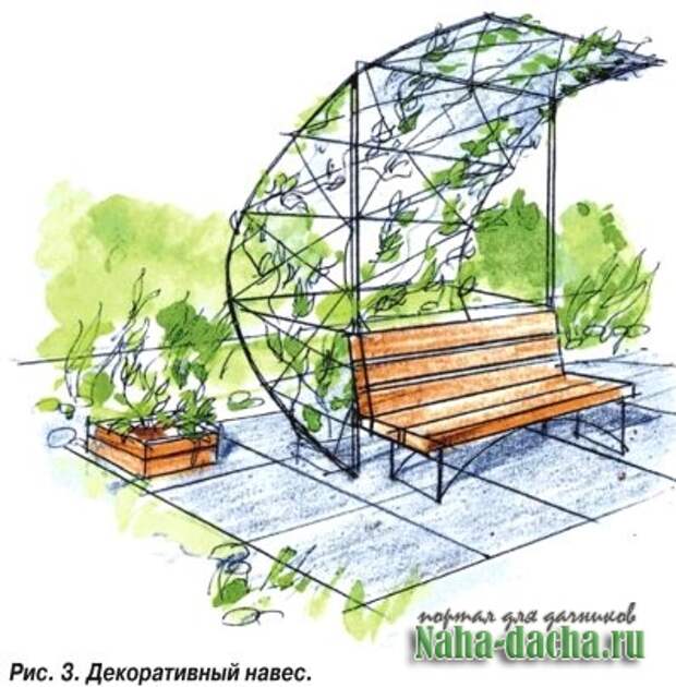 озеленение сада-навес