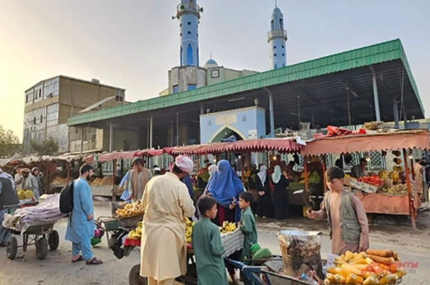 Сотрудники миндобродетели Афганистана сожгли 500 музыкальных инструментов