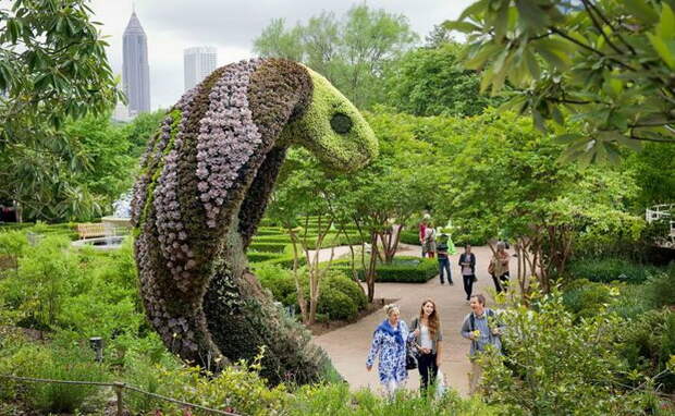 atlanta-botanical-garden-2 (700x432, 182Kb)