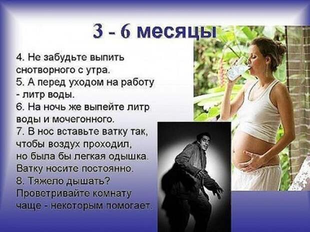 3-6 месяцы