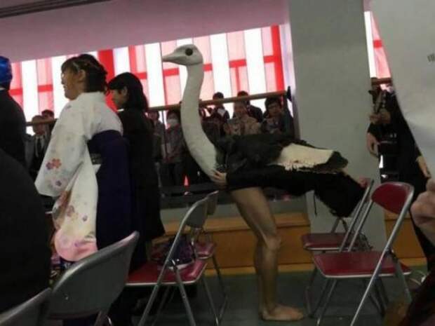 Чудаки вокруг нас (23 фото)