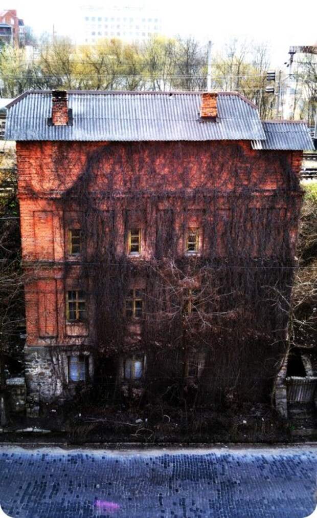 Дом с привидениями в Тернополе. | Фото: press-centr.com.